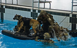 Eine amphibische Übung in der Schwimmhalle des KSK.  FOTOS: ZIMMERMANN