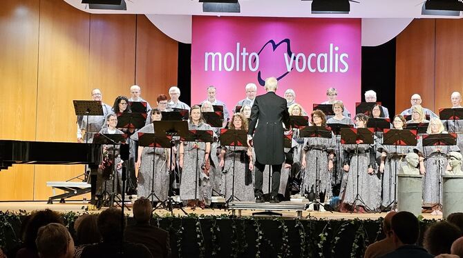 Molto Vocalis begeisterte das Publikum mit unterschiedlichen Stilrichtungen.  FOTO: JOCHEN