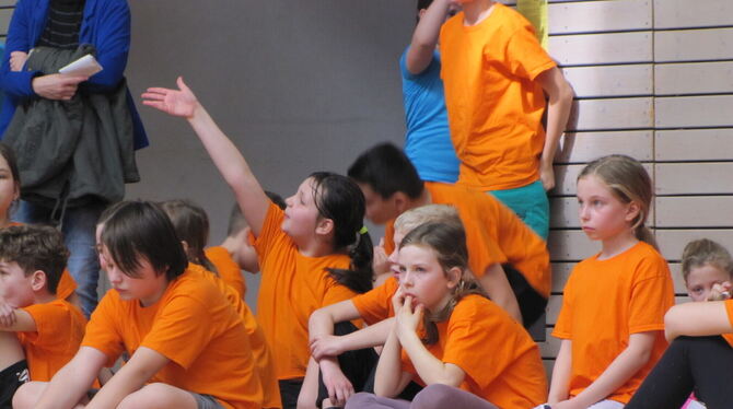 Gebannt verfolgten die Kinder das Geschehen auf den Spielfeldern der Waldorfhäslacher Ballspielhalle.