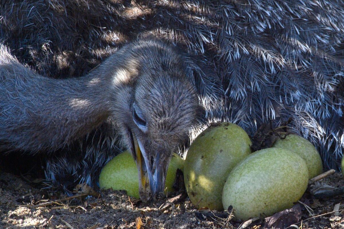 Nur Geduld Nur Geduld