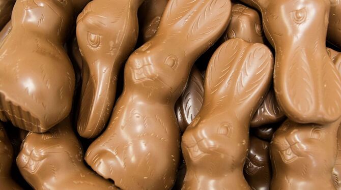 Schokoladen-Hasen