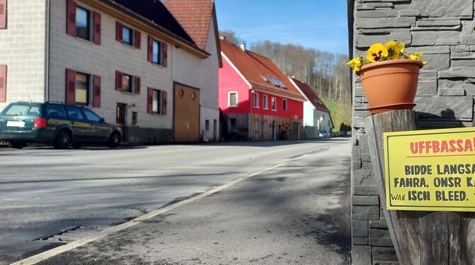 Auch wenn die Ortsdurchfahrt kein Unfallschwerpunkt ist: Eine Katze wurde trotz Bitte um Vorsicht überfahren.