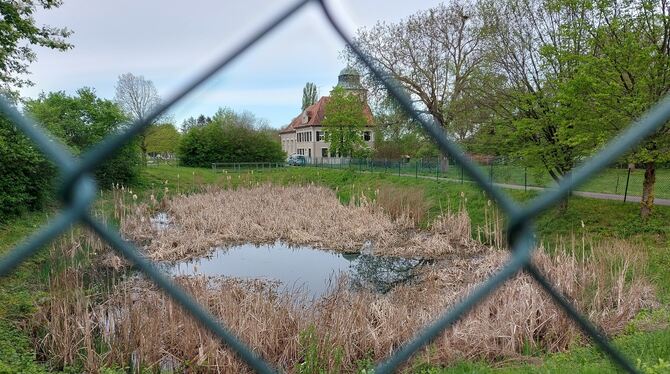 Dreckloch So sieht das Becken beim Dettinger Wasserschlössle aus, so könnte auch das Uracher Becken an der Wasserfallkreuzung aussehen. De