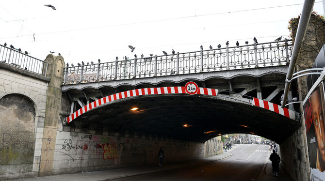 Irritiert: Immer noch hocken jede Menge Tauben im Bereich der Eisenbahnbrücke und fliegen unter das Bauwerk, um dort nach Eingän
