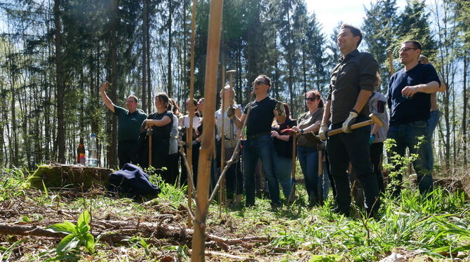 Stolz wie Bolle präsentierten sich die Beschäftigten von Solcom am vergangenen Freitag im Wald bei der Ruine Greifensten nach ih