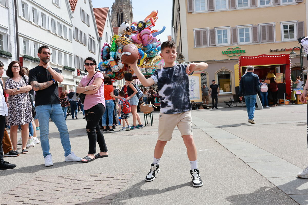 VOS_RT_Frühling_Online_diet__22