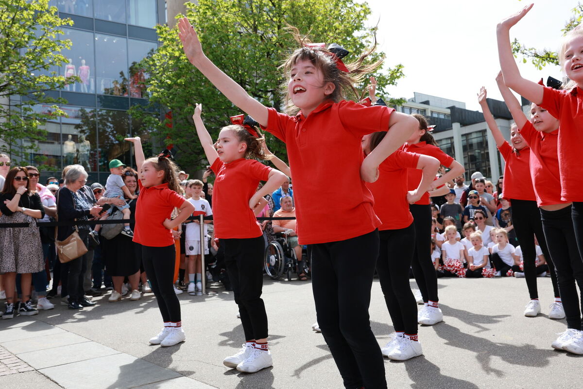 VOS_RT_Frühling_Online_diet_