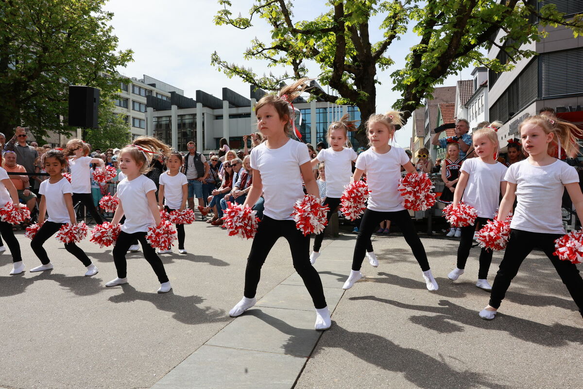 VOS_RT_Frühling_Online_diet__03