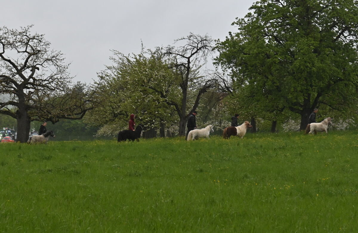 Grossbrand Ofterdingen FOTO MEYER_0533