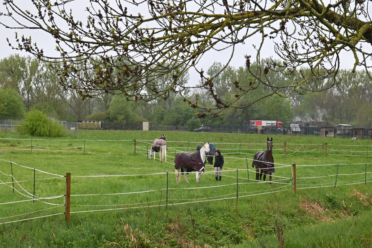 Grossbrand Ofterdingen FOTO MEYER_0592