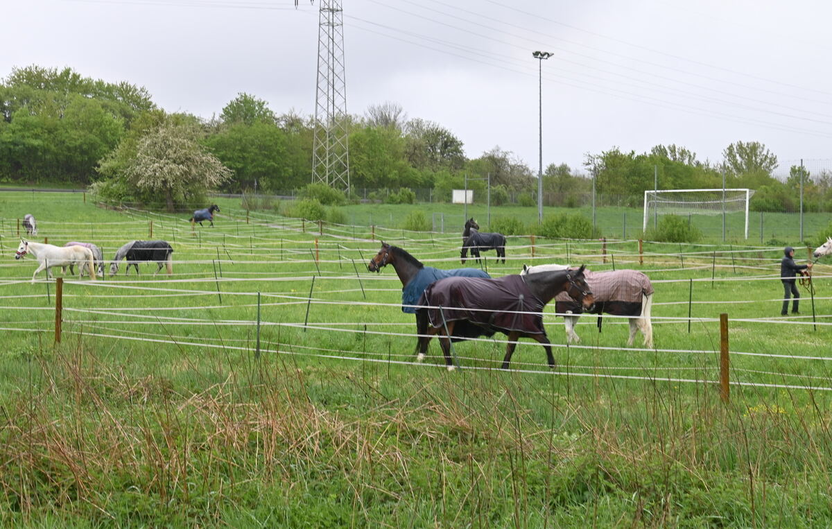 Großbrand Ofterdingen (1)