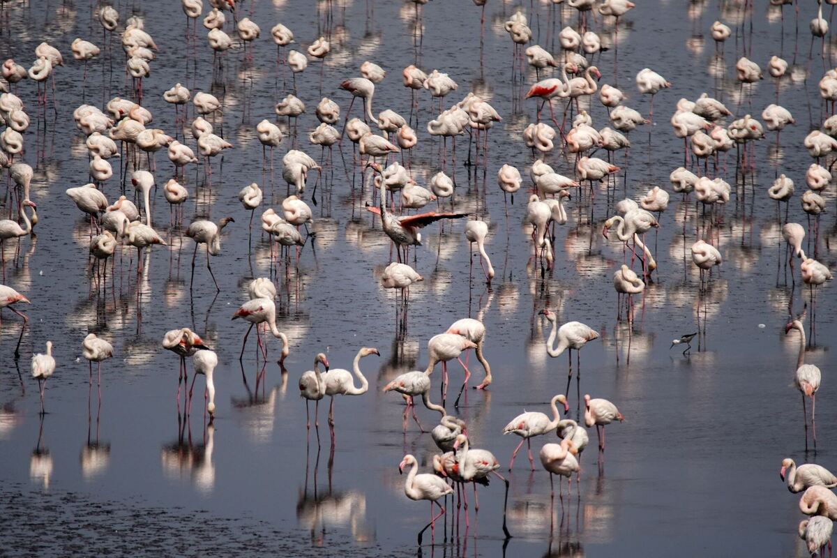 Zurückgekehrt Zurückgekehrt