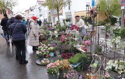 Zum Kunst- und Gartenmarkt kamen aufgrund des schlechten Wetters deutlich weniger Besucher als sonst nach Münsingen.