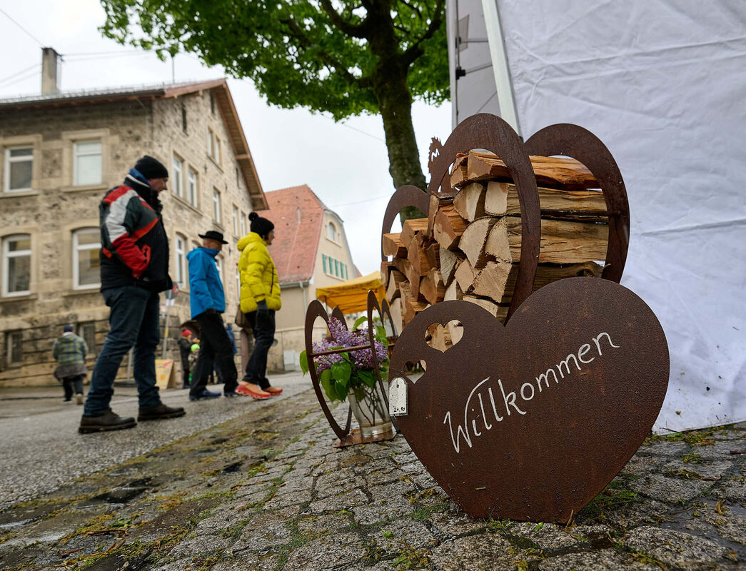 Tulpenblu╠êhen_21_04_2024_Schanz_014