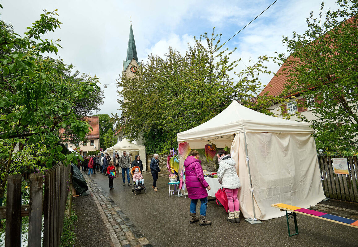 Tulpenblu╠êhen_21_04_2024_Schanz_016