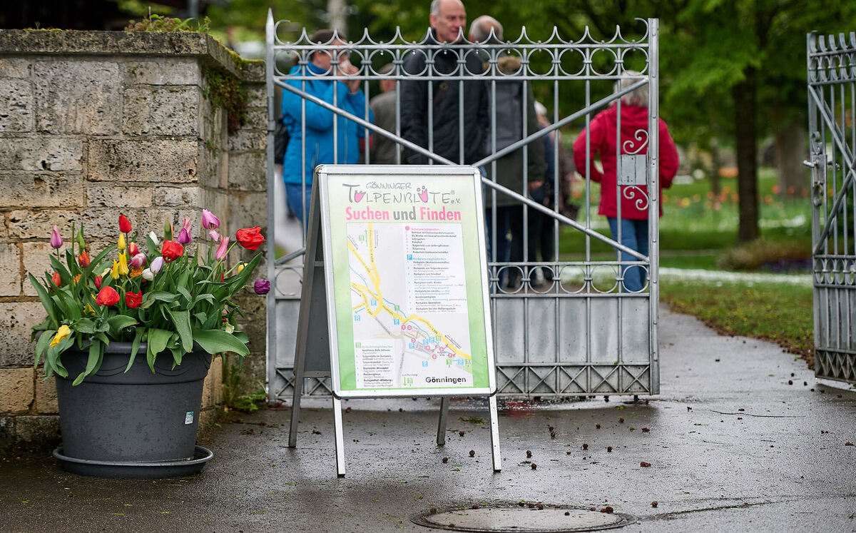 Tulpenblu╠êhen_21_04_2024_Schanz_023