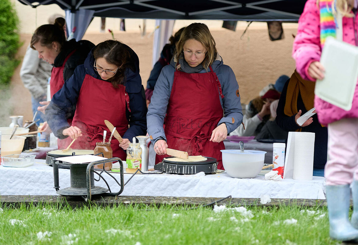 Tulpenblu╠êhen_21_04_2024_Schanz_024