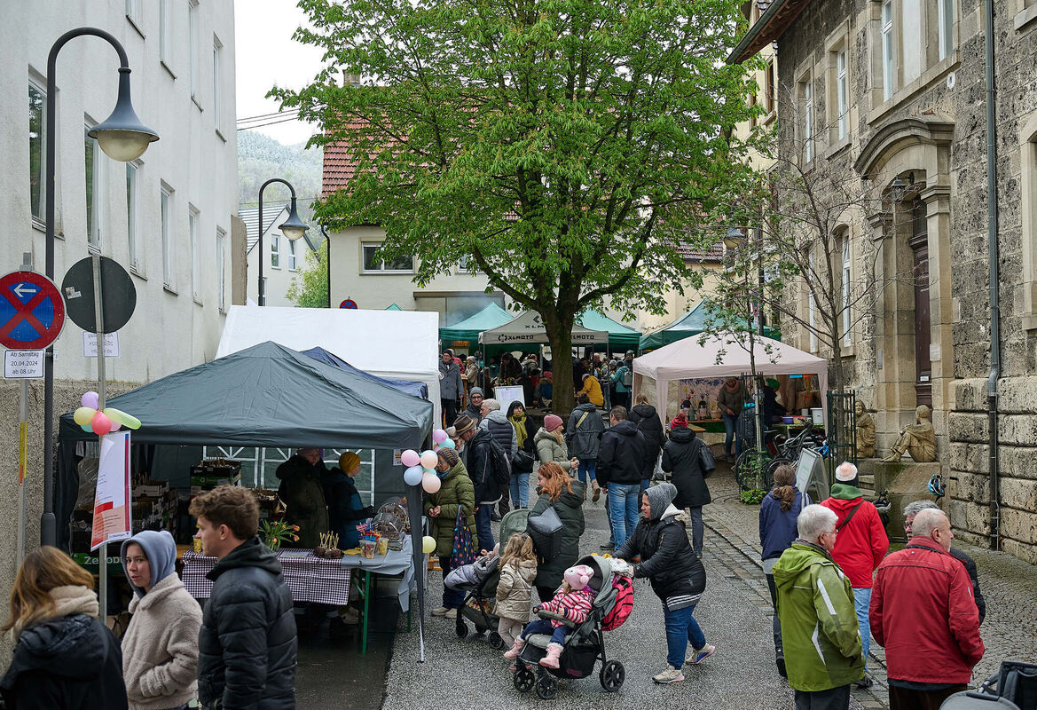 Tulpenblu╠êhen_21_04_2024_Schanz_029