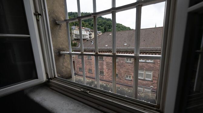 »Fauler Pelz« in Heidelberg