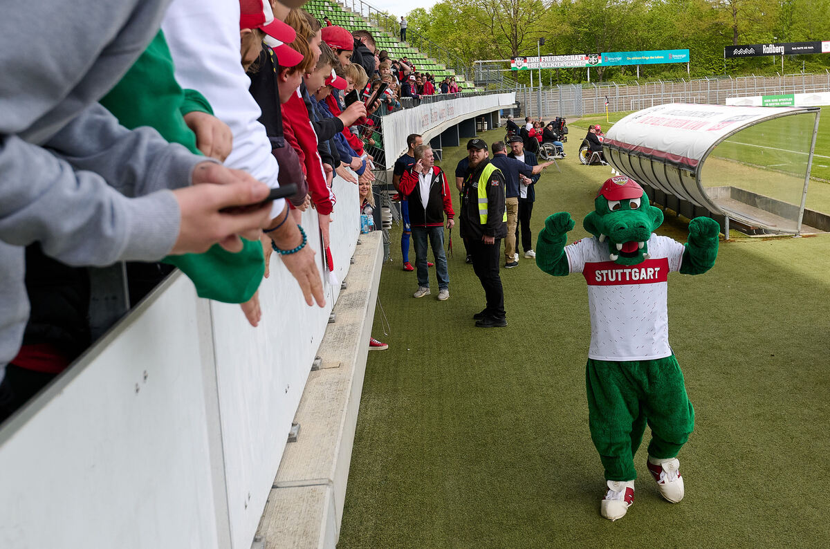 Legenden_SSV_RT_VFB_S_28_04_2024_Schanz_008