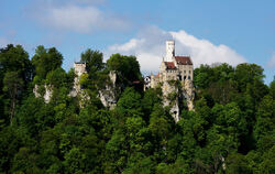 Eine Bahn hoch zum Schloss Lichtenstein: Das könnte sich die Bürgerinitiative "Wir für Lichtenstein" gut vorstellen.