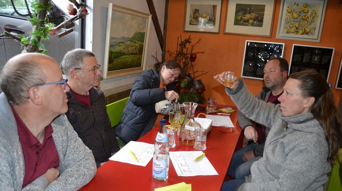 Klarheit, Farbe, Geruch, Geschmack und Harmonie wurden von den Most-Experten geprüft.  FOTO: RUOF