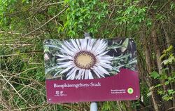 Das gesamte Stadtgebiet Münsingen soll ins Biosphärengebiet.