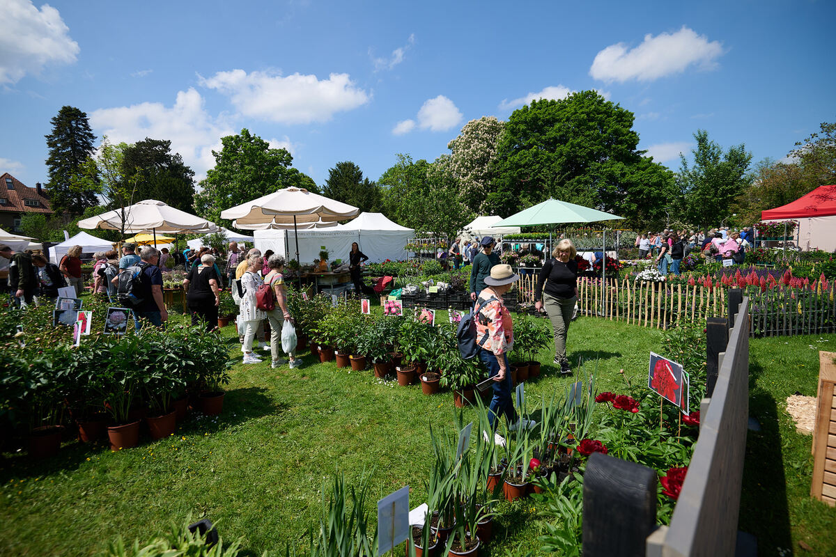 Gardenlife_online_09_05_2024_Schanz_013