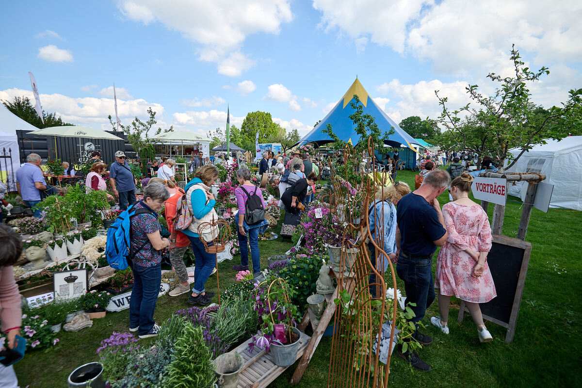 Gardenlife_online_09_05_2024_Schanz_015