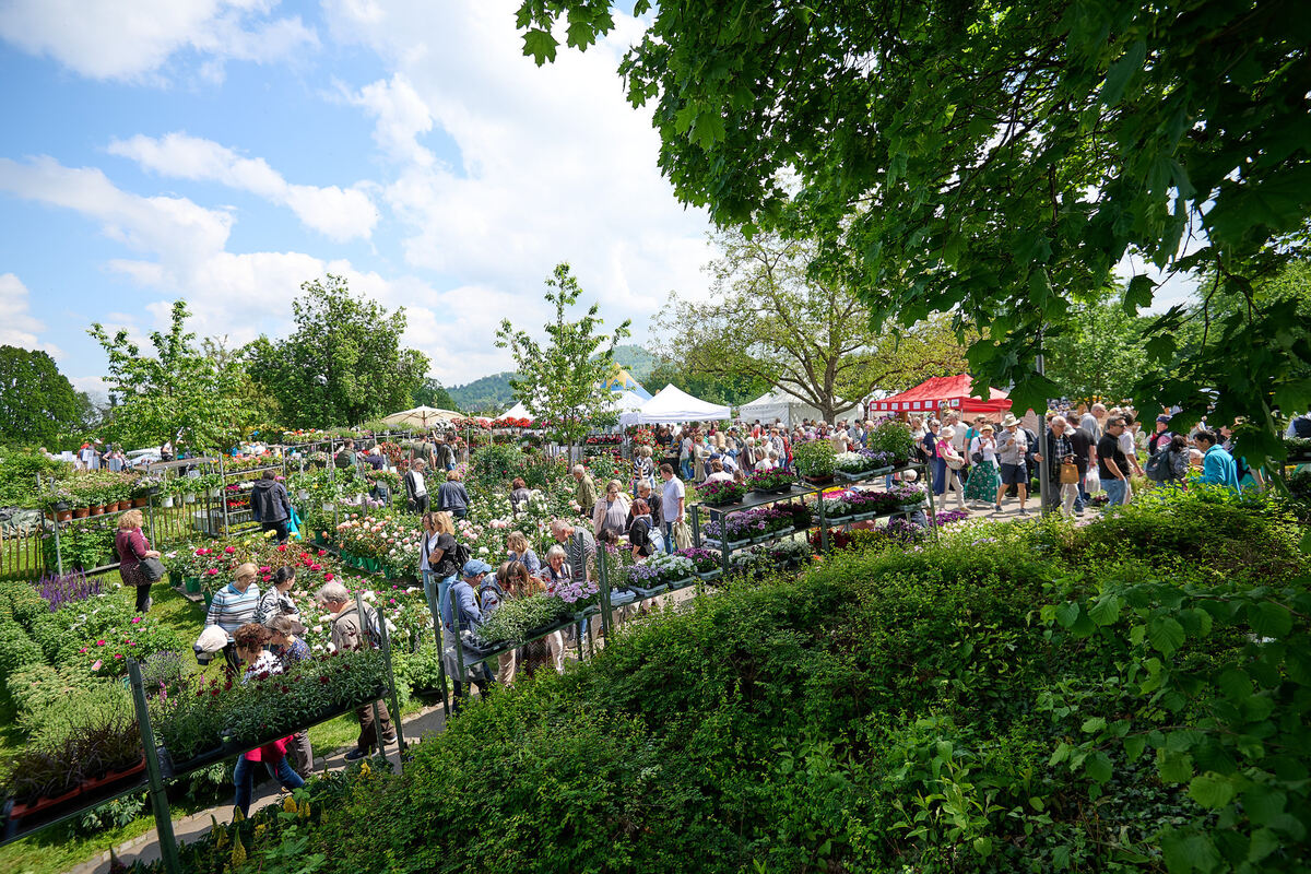 Gardenlife_online_09_05_2024_Schanz_017