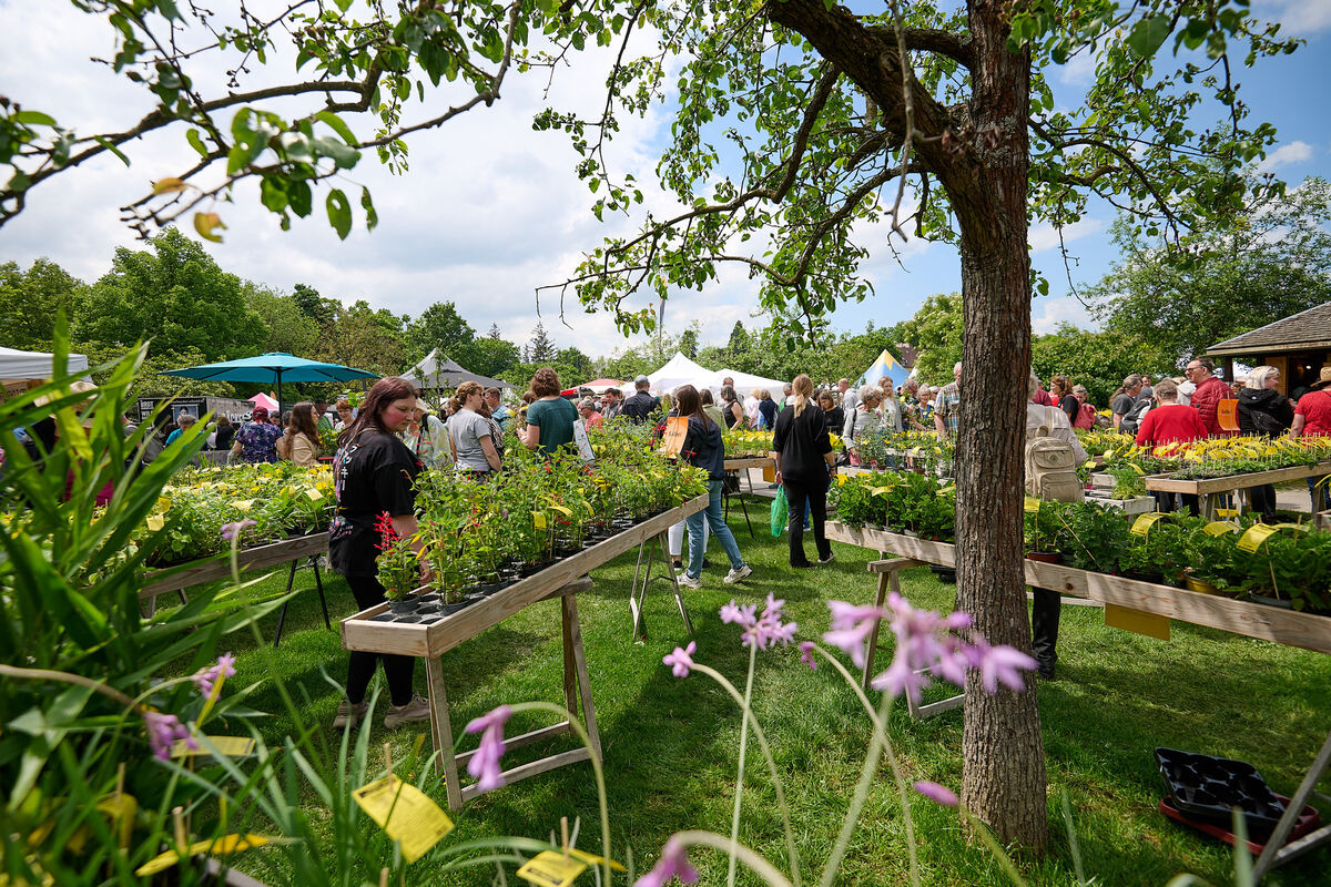 Gardenlife_online_09_05_2024_Schanz_018