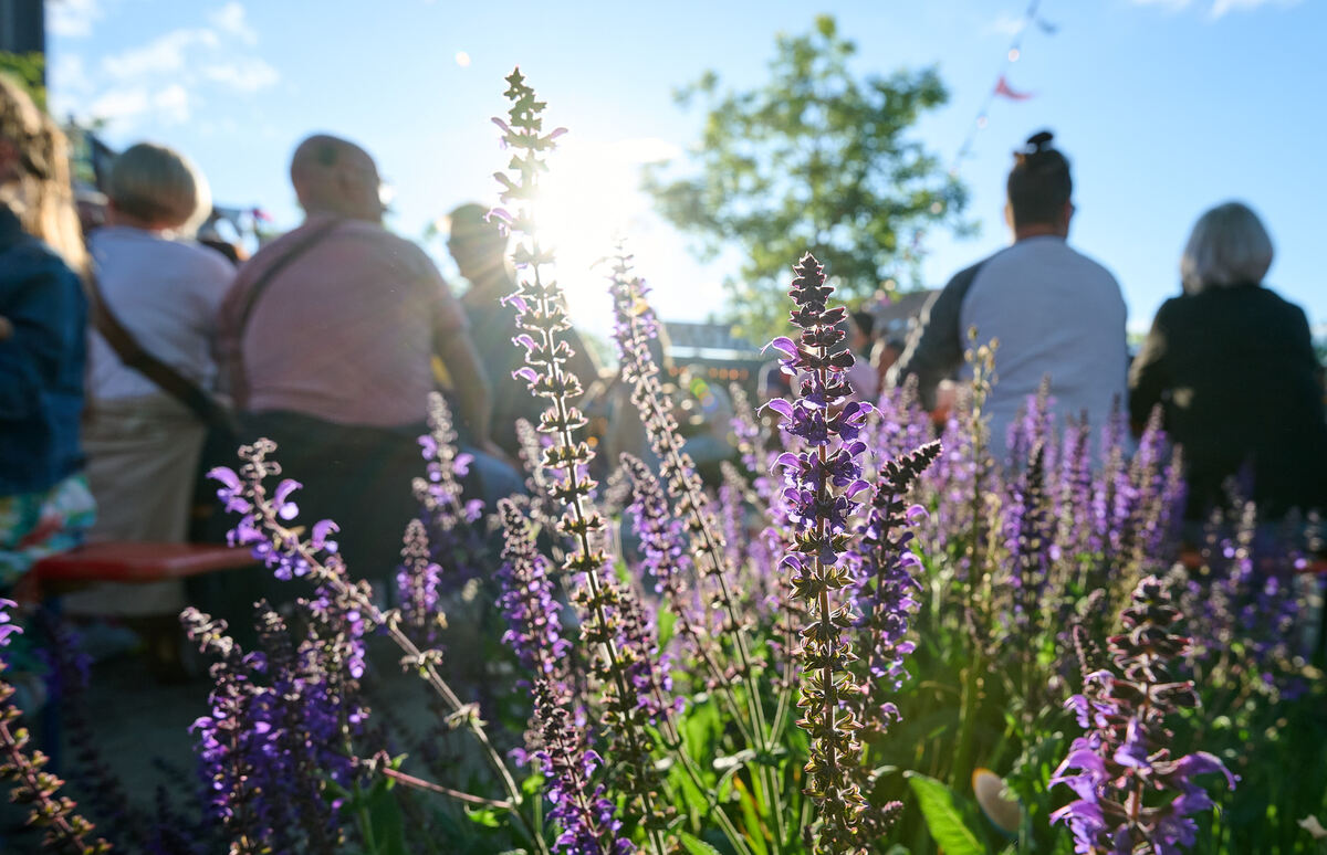 Streetfood_20_05_2024_Schanz_013