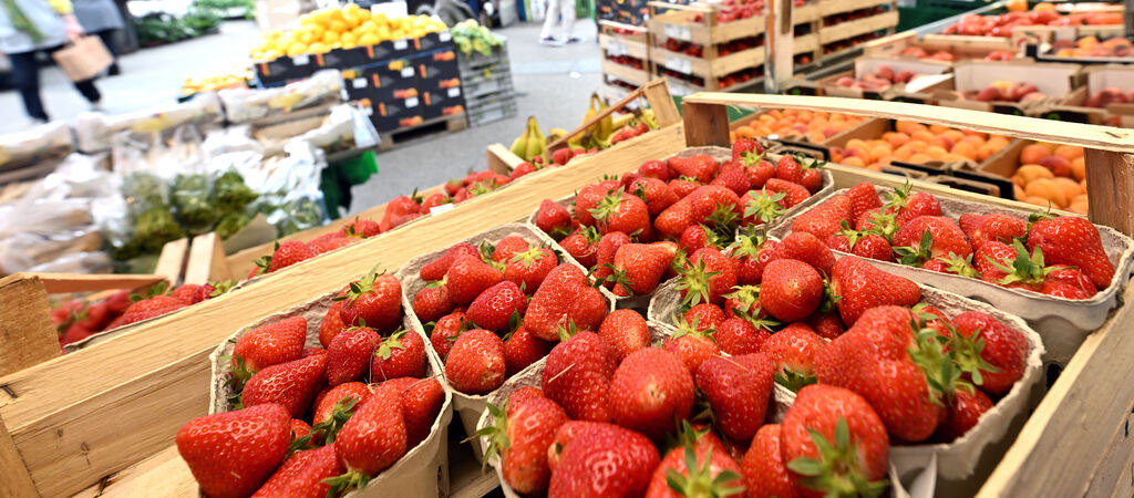 Erdbeeren Wochenmarkt Reutlingen