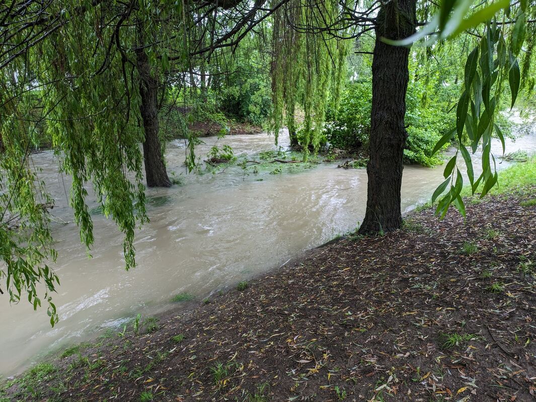 Echaz-Pfullingen_010624_Insel Kurze Straße_06