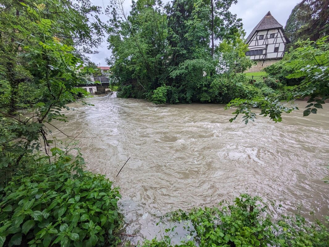 Echaz-Pfullingen_010624_Schlösslespark_11