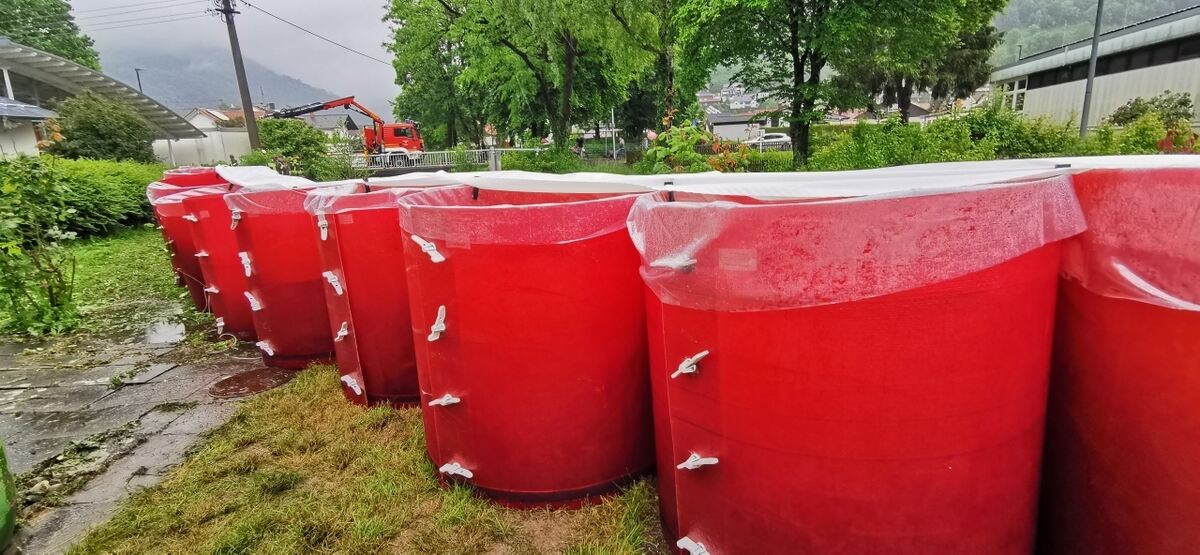 IMG_20240601_134256_resized_20240601_015626507 (002)