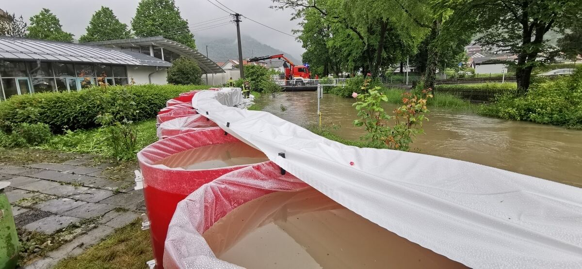 IMG_20240601_134311_resized_20240601_015626996