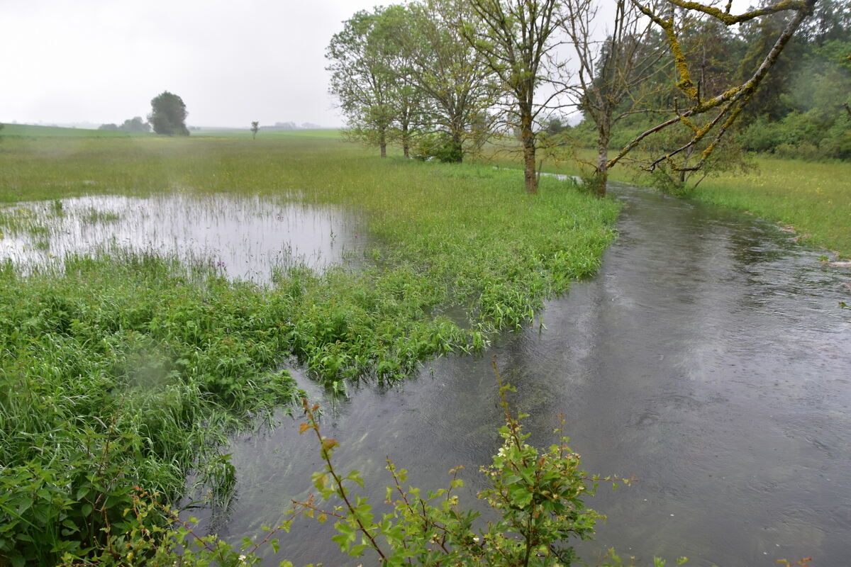 Die nur periodisch Wasser führende Woog hat sich auf ihren sechs Kilometern zu einem Fluss entwickelt FOTO MEYER