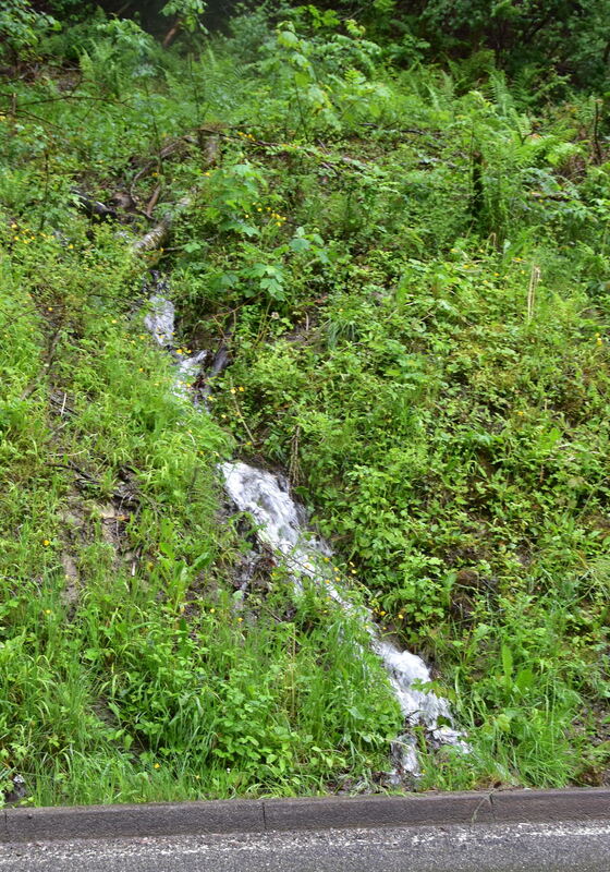Ein neuer Nebenbach der Steinlach an der Talheimer Steige FOTO MEYER