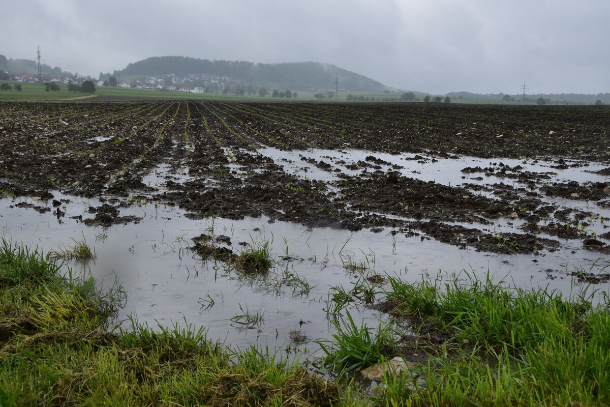 Geflutete Ackerfläche im DreiLandkreisEck TübingenReutlingenZollernalb FOTO MEYER