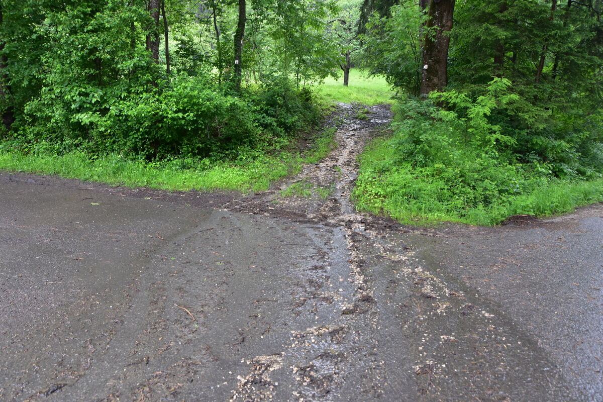 Im Hanggebiet von Mössingen und Belsen bildeten sich temporäre Abflüsse FOTO MEYER