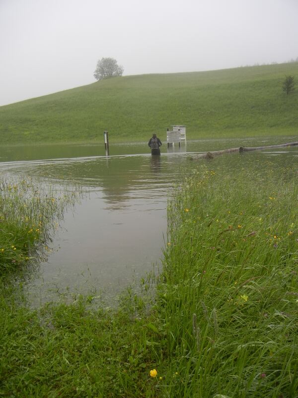 Hochwasser, oberes Rinnental, Sonnenbühl