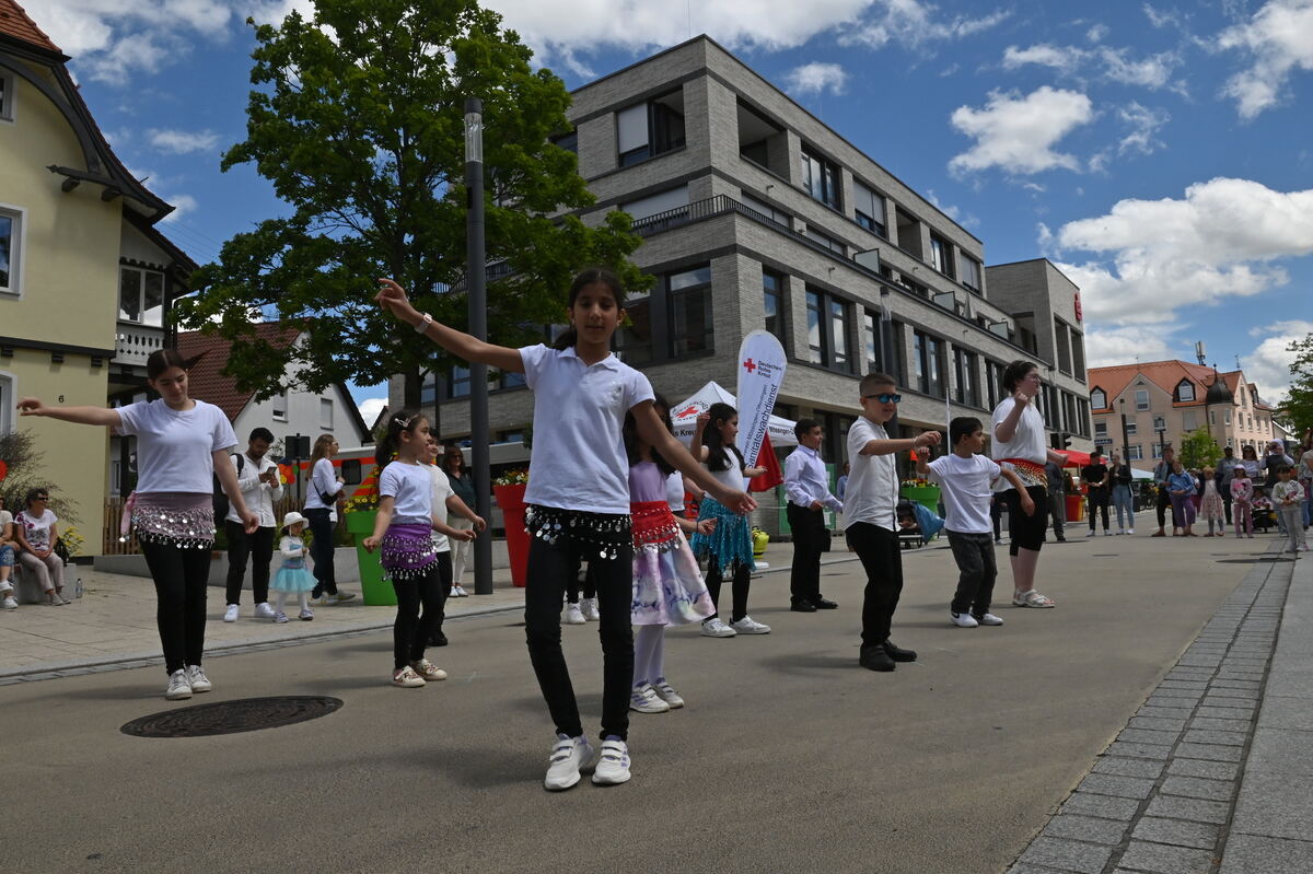 BuntesMössingen 15 Juni 2024 Media Jürgen Meyer_035