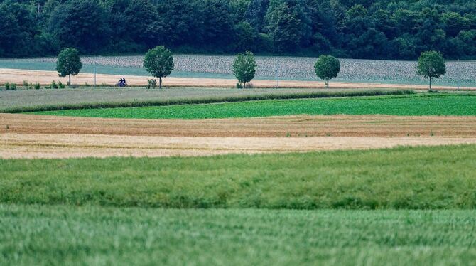Wetter in Nordrhein-Westfalen