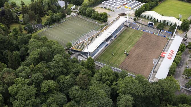 Rasenqualität in Stuttgart