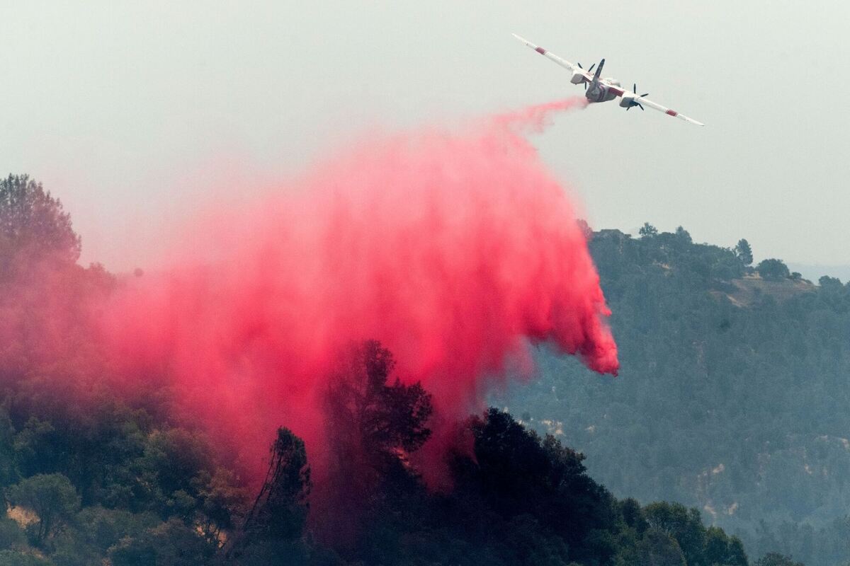 Waldbrände Waldbrände