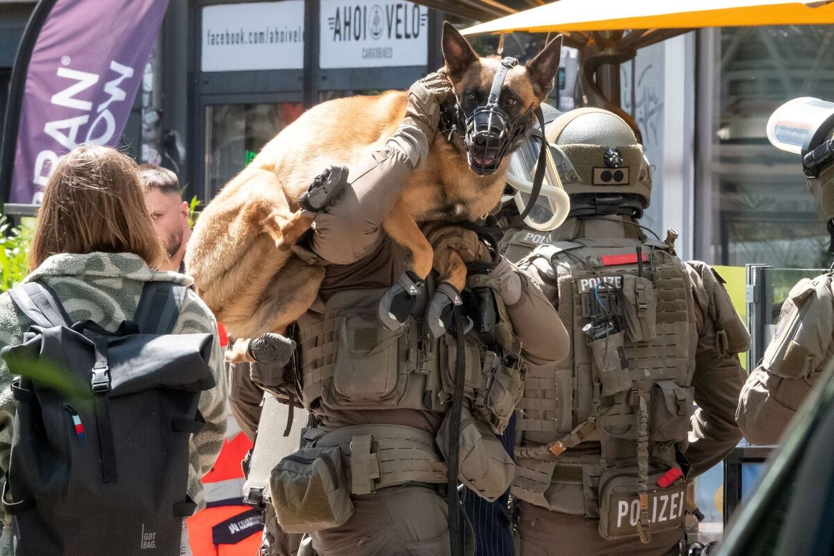 Tierischer Begleiter Tierischer Begleiter