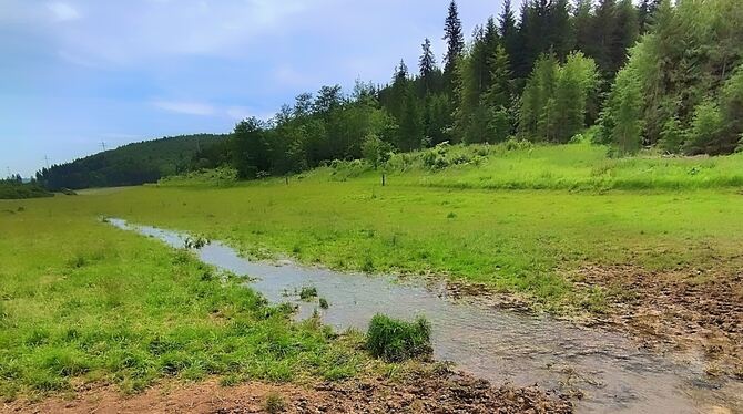 Im Trockental südlich von Lonsingen ist die Ur-Lauter in ihr Bachbett zurückgekehrt. Im Trockental südlich von Lonsingen ist durch die Regenfälle wieder der ursprüngliche Bach zutage getreten.