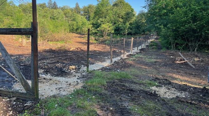 Eninger Weide, Wildschweingehege, Wildschweine, Gehege, Baumfällarbeiten, Bäume, Wald, Forst Der Zaun des Wildschweingeheges auf der Eninger Weide wird erneuert. Gleichzeitig wurden im und am Gehege einige Bäume gefällt.