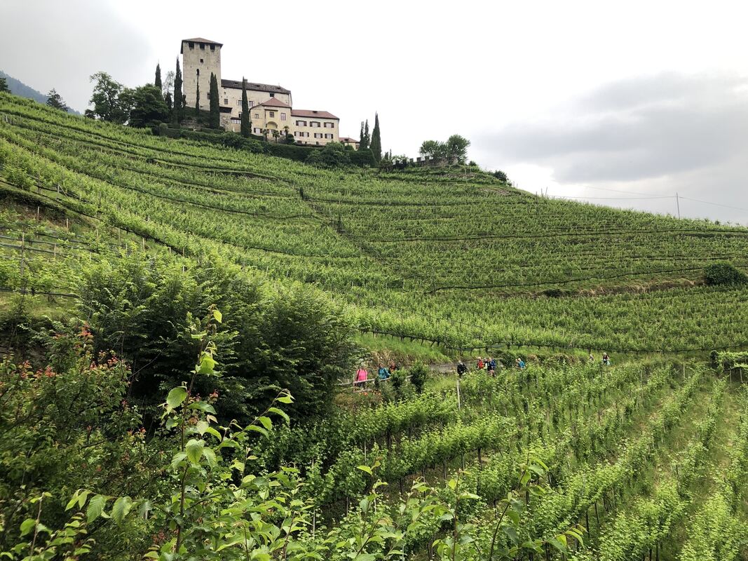 GEA-DAV-Wanderreise_2024_Iris Goldack_ (21)